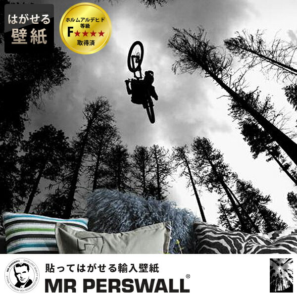 壁紙 貼ってはがせる壁紙 MR PERSWALL【4巾】ミスターパースウォール ADVENTURE アドベンチャー Above フリース壁紙 スウェーデン製 壁紙 実写 リアル 森 森林 ストリート 自転車 モノクロ クール デジタルプリント メンズ 北欧 DIY