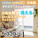 ロールスクリーン タチカワブラインドグループ 無地ウォシャブル 6色 TIORIO ティオリ