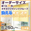 ロールスクリーン オーダーサイズ タチカワブラインドグループ ウォッシャブル 洗える！ 無地/遮熱 全36色 TKWindows