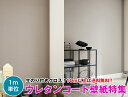 【10m以上で送料無料】ウレタンコート壁紙 クロス のり付き壁紙 デザインクロス DIY リフォーム サンゲツ Sangetsu FINE FE74636〜FE...