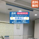 【送料無料】タチカワブラインド 透明ロールスクリーン規格品サイズ【幅60cm×高さ180cm】RS9112抗ウイルス・抗菌SIAAマーク取得飛沫感染防止 防炎認定生地 安心の国内大手メーカー