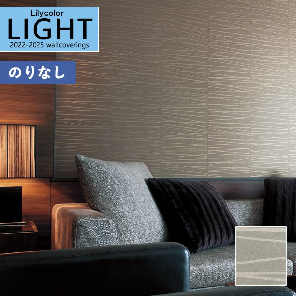 ڡ̵ʤEXءˡɻ Τʤɻ  ꥫ LIGHT 饤 2022-2025 ѥ LL-73481mʾ10cmñ̤ǤۤΤ̵ ̵ Ҥʤ