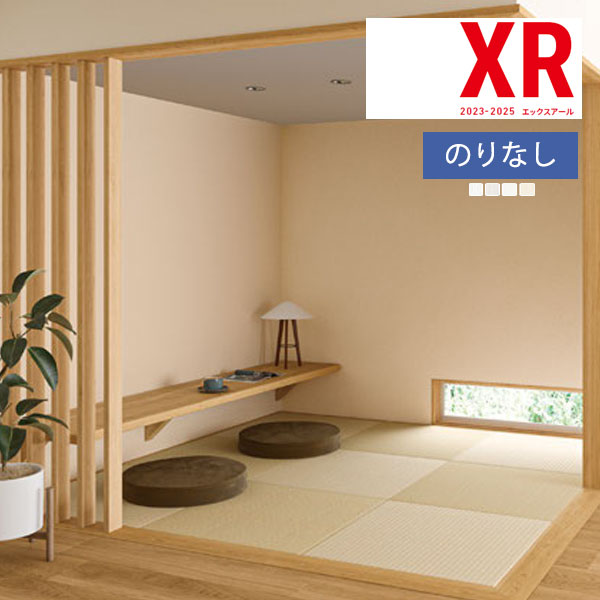 ڡ̵ʤEXءˡɻ Τʤɻ  ꥫ XR 2023-2025 ѥĴ XR-462  XR-465 1mʾ10cmñ̤Ǥ