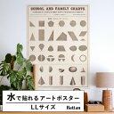 【全品対象クーポン配布中】 水だけで何度も貼れるはがせる アートポスター 賃貸OK のり付き Hattan Art Poster ハッタンアートポスター School and family charts / HP-00200 LLサイズ(90cm×120cm) 砂壁 に 貼れる 壁紙ポスター 壁紙屋本舗(3)