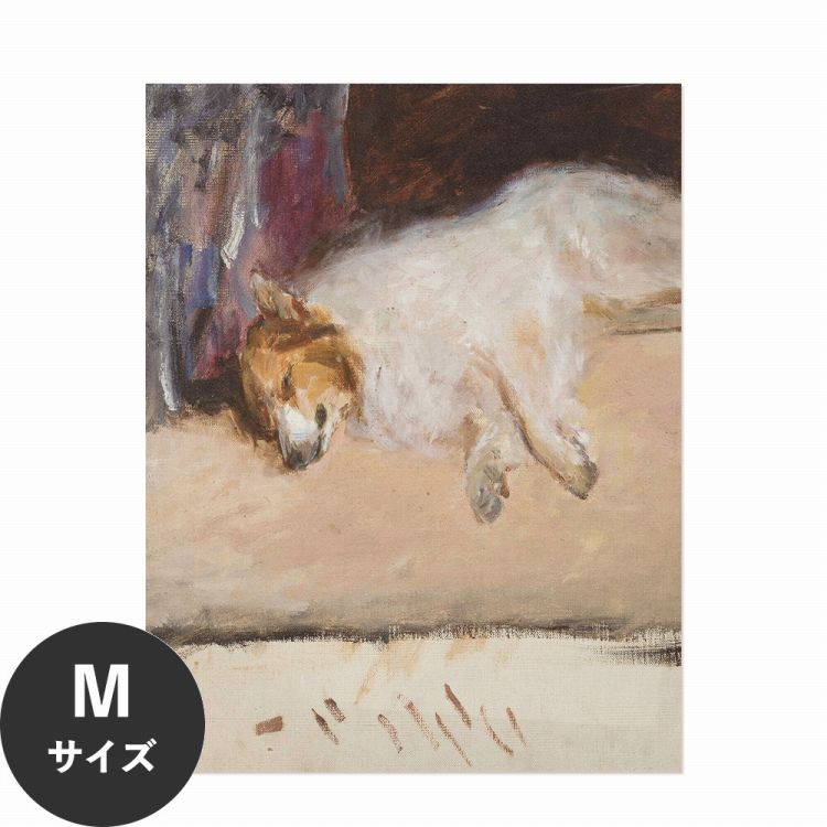 水だけで何度も貼れるはがせる アートポスター 賃貸OK のり付き Hattan Art Poster ハッタンアートポスター Study of a sleeping dog for the “Portrait of Prince Golitsyn” / HP-00297 Mサイ…