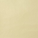 【最大5000円引クーポン配布中!1/16(木)1:59まで】生のり付き 壁紙 (クロス)/ベージュの壁紙 STH-8776
