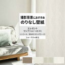 【全品対象クーポン配布中】 壁紙 のりなし エレガントセレクション vol.01 BA7391 BA7392 BA7393 ダマスク 織物調 モダン 壁紙で部屋のインテリアをおしゃれに シンコール リビング トイレ をDIY リフォーム 壁紙屋本舗