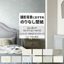 【全品対象クーポン配布中】 壁紙 のりなし エレガントセレクション vol.02 BA7395 BA7396 BA7397 ダマスク クラシック 織物調 壁紙で部屋のインテリアをおしゃれに シンコール リビング トイレ をDIY リフォーム 壁紙屋本舗