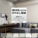 【全品対象クーポン配布中】 壁紙 のりなし 消臭カラーセレクション vol.04 BA7064 BA7065 BA7066 塗り壁 漆喰調 織物調 壁紙で部屋のインテリアをおしゃれに シンコール リビング トイレ をDIY リフォーム 壁紙屋本舗