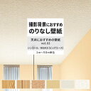 【全品対象クーポン配布中】 壁紙 のりなし 天井におすすめな壁紙 vol.03 BA7219 BA7220 BA7221 ダマスク 木目 壁紙で部屋のインテリアをおしゃれに シンコール リビング トイレ をDIY リフォーム 壁紙屋本舗
