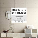 【全品対象クーポン配布中】 壁紙 のりなし マテリアル調 vol.01 LV-2284 LV-2285 LV-2286 石目調 コンクリート調 モダン 壁紙で部屋のインテリアをおしゃれに リリカラ リビング トイレ をDIY リフォーム 壁紙屋本舗