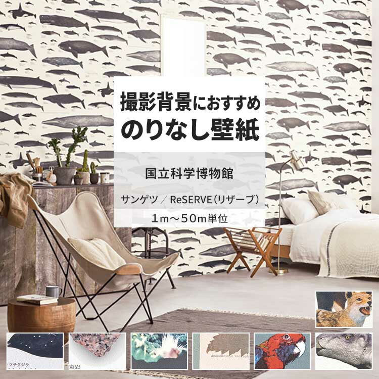 【全品対象クーポン配布中】 壁紙 のりなし 国立科学博物館 RE55941 RE55942 RE55943 海の生き物 海洋生物 動物 アニマル 植物 岩石 図鑑 壁紙で部屋のインテリアをおしゃれに サンゲツ リザーブ で子供部屋 リビング トイレ をDIY リフォーム 壁紙屋本舗