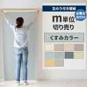 【全品対象クーポン配布中】 壁紙 のり付き m単位 壁紙の上から貼れる くすみカラー 石目 アクセントクロス シンプル 無地 簡単 張り替え 初心者 DIY サ...