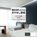 【全品対象クーポン配布中】 壁紙 サンプル LV-2304 LV-2305 マテリアル調 vol.06 レザー調 無地 シンプル 壁紙で部屋のインテリアをおしゃれに リリカラ リビング トイレ をDIY リフォーム 壁紙屋本舗