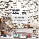 【全品対象クーポン配布中】 壁紙 サンプル RE55941 RE55942 RE55943 国立科学博物館 海の生き物 海洋生物 動物 アニマル 植物 岩石 図鑑 壁紙で部屋のインテリアをおしゃれに サンゲツ リザーブ で子供部屋 リビング トイレ をDIY リフォーム 壁紙屋本舗