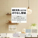 【全品対象クーポン配布中】 壁紙 サンプル RE55912 RE55913 RE55914 パターンセレクション vol.14 ダマスク クラシック フェミニン 花柄 壁紙で部屋のインテリアをおしゃれに サンゲツ リザーブ リビング トイレ をDIY リフォーム 壁紙屋本舗