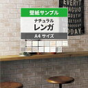 【全品対象クーポン配布中】 壁紙