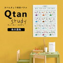 アートパネル Qtan Study キュータン スタディ 60cm×80cm サイエンスカラー 色の混色 小学校 幼稚園 勉強 モノトーン ファンシー