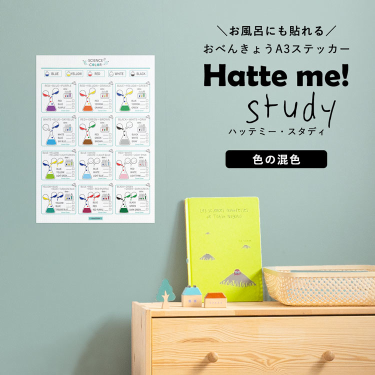 貼ってはがせる ポスターステッカー ウォールステッカー Hatte me Study ハッテミースタディ（A3サイズ） サイエンスカラー リビングに貼ってもいいと思える 壁紙屋本舗 【メール便OK】