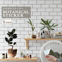 \Ă͂ AXebJ[ STCY EH[XebJ[ AV[  SV[ A  ϗtA ^ tFCNO[  ωA CeA Ǐ Vzj zj j V 40cm Botanical Sticker {^jJXebJ[ ǎ{