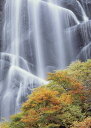 自然 滝の壁紙 秋 紅葉 滝 輸入 カスタム壁紙 PHOTOWALL / Japanese Waterfall in Autumn Dress (e24835) 貼ってはがせるフリース壁紙(不織布) 【海外取寄せ商品】 【代引き 後払い不可】