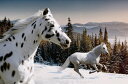 動物 アニマル 風景 景色の壁紙 輸入 カスタム壁紙 輸入壁紙 カスタム壁紙 PHOTOWALL / Galopping Winter Wonderland (e40241) 貼ってはがせるフリース壁紙(不織布) 【海外取寄せ商品】 【代引き・後払い不可】