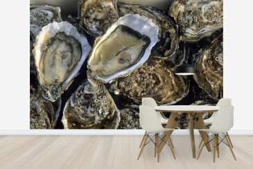 牡蠣 カキの壁紙 輸入 カスタム壁紙 PHOTOWALL / Oysters (e24917) 貼ってはがせるフリース壁紙(不織布) 【海外取り寄せのため1カ月程度でお届け】 【代引き・後払い不可】