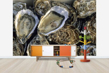 牡蠣 カキの壁紙 輸入 カスタム壁紙 PHOTOWALL / Oysters (e24917) 貼ってはがせるフリース壁紙(不織布) 【海外取り寄せのため1カ月程度でお届け】 【代引き・後払い不可】