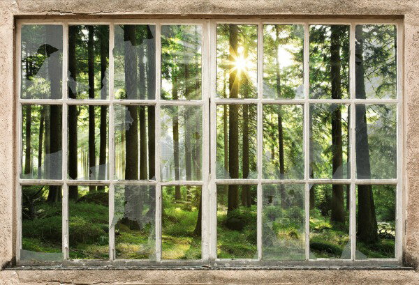 森の壁紙 輸入 カスタム壁紙 輸入壁紙 カスタム壁紙 PHOTOWALL / Sunset in Forest Through Broooken Window (e30160) 貼ってはがせるフリース壁紙(不織布) 【海外取寄せ商品】 【代引き・後払い不可】
