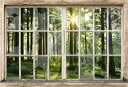 X̕ǎ A JX^ǎ Aǎ JX^ǎ PHOTOWALL / Sunset in Forest Through Broooken Window (e30160) \Ă͂t[Xǎ(sDz) yCO񂹏iz yE㕥sz