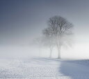 i iF R̕ǎ ~ R A JX^ǎ Aǎ JX^ǎ PHOTOWALL / Winter Landscape in Skabersjo, Sweden (e40569) \Ă͂t[Xǎ(sDz) yCO񂹏iz yE㕥sz