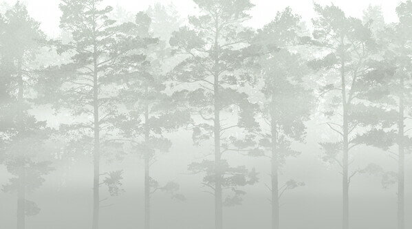  ʿ ɻ ͢ ɻ ͢ɻ ɻ PHOTOWALL / Misty Pine Forest - Green (e30625) ŽäƤϤե꡼ɻ(Կ) ڳ󤻾ʡ ʧԲġ