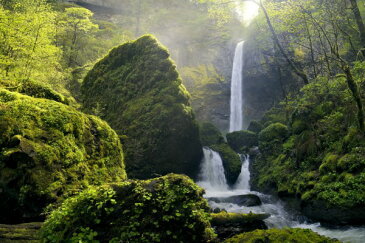 風景 景色 森の壁紙 輸入 カスタム壁紙 PHOTOWALL / Sunlight over Elowah Falls, Columbia River Gorge (e31132) 貼ってはがせるフリース壁紙(不織布) 【海外取り寄せのため1カ月程度でお届け】 【代引き不可】