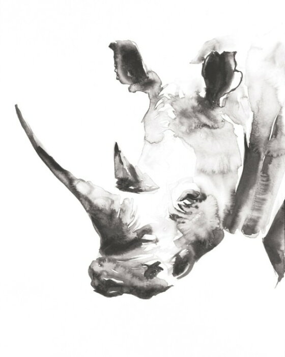 黒 ブラック白黒 モノクロ モノトーン サイアート 絵画 絵 水彩画の壁紙輸入 カスタム壁紙 Photowall Rhino Gray Crop 貼ってはがせるフリース壁紙 不織布 海外取り寄せのため1カ月程度でお届け 代引き不可 黒 白黒 モノトーン 絵画 勇者よ 目覚めなさい