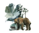  qO} X ʉ̕ǎ A JX^ǎ Aǎ JX^ǎ PHOTOWALL / Watercolor Bear Forest (e313892) \Ă͂t[Xǎ(sDz) yCO񂹏iz yE㕥sz