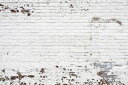 ホワイト レンガ テクスチャーの壁紙 輸入 カスタム壁紙 輸入壁紙 カスタム壁紙 PHOTOWALL / Old Brick Wall (e315648) 貼ってはがせるフリース壁紙(不織布) 【海外取寄せ商品】 【代引き・後払い不可】
