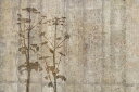 植物 花 シルエット ベージュの壁紙 輸入 カスタム壁紙 輸入壁紙 カスタム壁紙 PHOTOWALL / Giant Hogweed with Concrete Wall (e318483) 貼ってはがせるフリース壁紙(不織布) 【海外取寄せ商品】 【代引き・後払い不可】