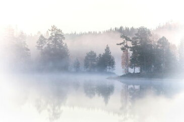 森 森林 水辺 霧 もや 朝日の壁紙 輸入 カスタム壁紙 PHOTOWALL / Forest and Lake Fog (e318399) 貼ってはがせるフリース壁紙(不織布) 【海外取り寄せのため1カ月程度でお届け】 【代引き不可】