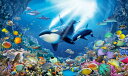 2530l20OFFN[| C V` CJ TS  bZ̕ǎ A JX^ǎ Aǎ JX^ǎ PHOTOWALL / Killer Whales (e320823) \Ă͂t[Xǎ(sDz) yCO񂹏iz yE㕥sz