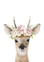   VJ LbY ǂ̕ǎ A JX^ǎ Aǎ JX^ǎ PHOTOWALL / Floral Deer (e322227) \Ă͂t[Xǎ(sDz) yCO񂹏iz yE㕥sz