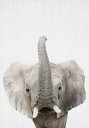  ]E  킢 LbY[ ǂ̕ǎ A JX^ǎ Aǎ JX^ǎ PHOTOWALL / Baby Elephant (e322759) \Ă͂t[Xǎ(sDz) yCO񂹏iz yE㕥sz