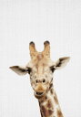 L  LbY[ ǂ̕ǎ A JX^ǎ Aǎ JX^ǎ PHOTOWALL / Giraffe (e322762) \Ă͂t[Xǎ(sDz) yCO񂹏iz yE㕥sz