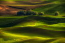 cn    O[ iF i̕ǎ A JX^ǎ Aǎ JX^ǎ PHOTOWALL / Spring in the Palouse (e323871) \Ă͂t[Xǎ(sDz) yCO񂹏iz yE㕥sz