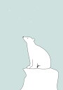 VN} zbLNO} CXg LbY qǂ  O[̕ǎ A JX^ǎ Aǎ JX^ǎ PHOTOWALL / Polar Bear - Green (e325972) \Ă͂t[Xǎ(sDz) yCO񂹏iz yE㕥sz