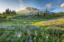 [jAR R  Ԕ   R i̕ǎ A JX^ǎ Aǎ JX^ǎ PHOTOWALL / Mt Rainier National Park (e327829) \Ă͂t[Xǎ(sDz) yCO񂹏iz yE㕥sz