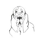 1日20名様20％OFFクーポン ブラッドハウンド 犬 線画 スケッチ 白 ホワイトの壁紙 輸入 カスタム壁紙 輸入壁紙 カスタム壁紙 PHOTOWALL / Line Dog Bloodhound (e325442) 貼ってはがせるフリース壁紙(不織布)  