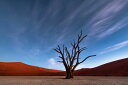  u   _ i iF  u[ IW̕ǎ A JX^ǎ Aǎ JX^ǎ PHOTOWALL / Deadvlei at Dusk (e327069) \Ă͂t[Xǎ(sDz) yCO񂹏iz yE㕥sz