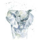  ]E  ʉ̕ǎ A JX^ǎ Aǎ JX^ǎ PHOTOWALL / Baby Elephant (e328680) \Ă͂t[Xǎ(sDz) yCO񂹏iz yE㕥sz