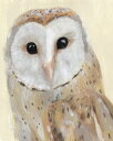 tNE  CXg̕ǎ A JX^ǎ Aǎ JX^ǎ PHOTOWALL / Common Barn Owl (e327494) \Ă͂t[Xǎ(sDz) yCO񂹏iz yE㕥sz