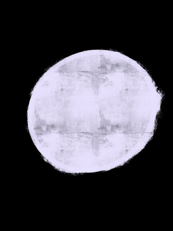 ݲ  ֥å Υȡɻ ͢ ɻ ͢ɻ ɻ PHOTOWALL / Scani White Sun (e330409) ŽäƤϤե꡼ɻ(Կ) ڳ󤻾ʡ ʧԲġ